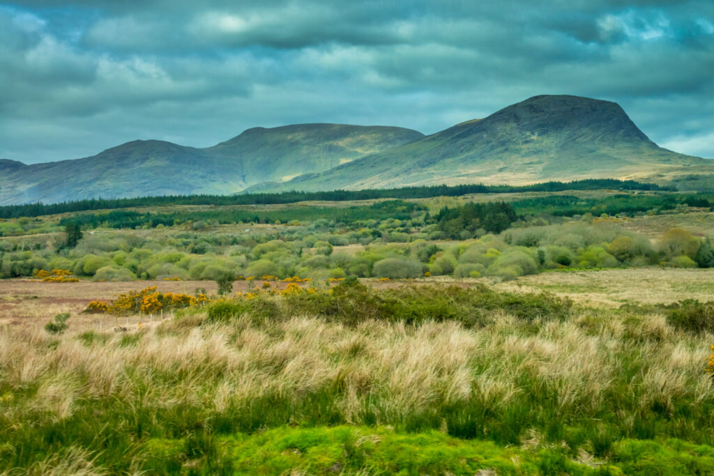 Grassland and mountains along the Ring of Kerry road, Killarney National Park, Ireland