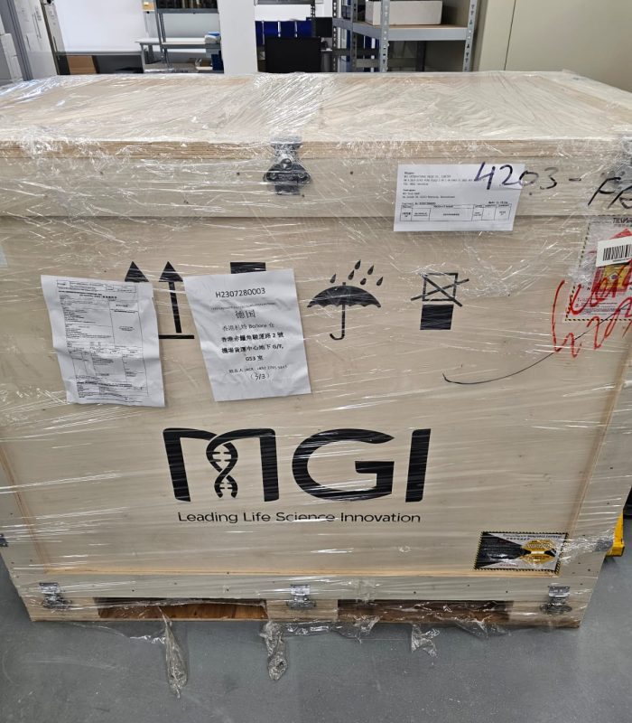 Domestic transport and long-term storage – reliable moving services with secure extended storage options